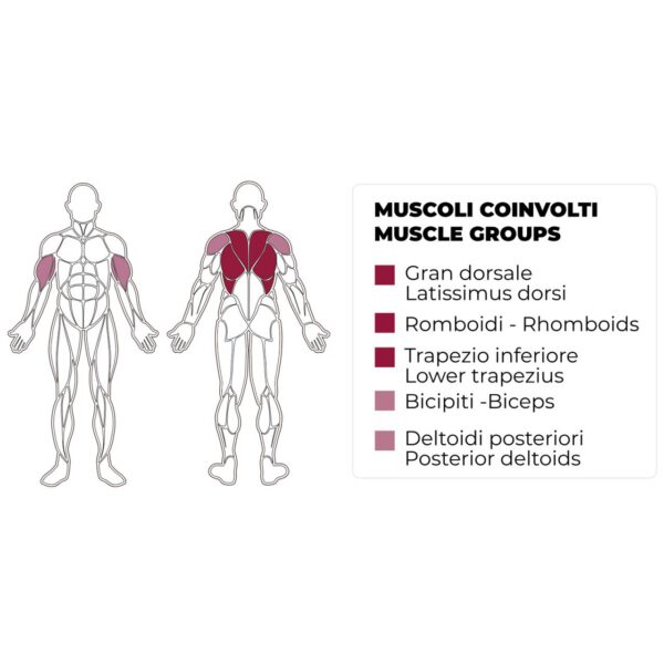 TOORX FITNESS - LTX-3000 KOMBINÁLT ALSÓ-FELSŐ CSIGÁS HÁTGÉP 90 KG LAPSÚLLYAL - Image 4